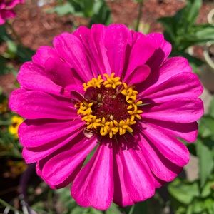 Meet your Posher, Jenny